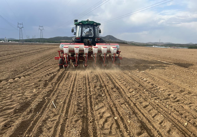 機械化播種作業。受訪者供圖